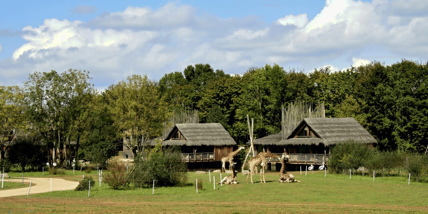 Featured image for “Eco-Lodges: Pioneering Sustainable Hospitality”